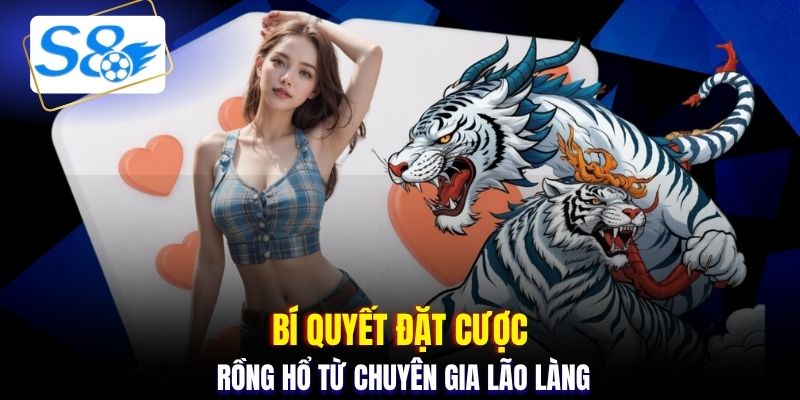 Bí quyết đặt cược Rồng Hổ từ chuyên gia lão làng