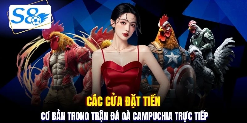 Các cửa đặt tiền cơ bản trong trận đá gà Campuchia trực tiếp