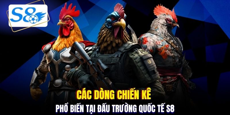 Các dòng chiến kê phổ biến tại đấu trường quốc tế S8