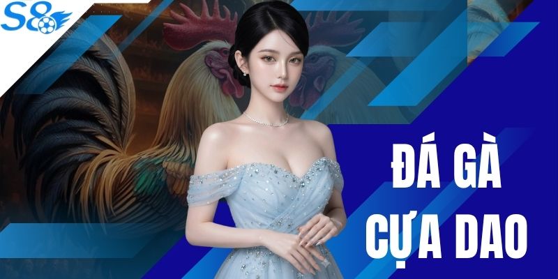 Đấu Trường Đá Gà Cựa Dao S8 Kịch Tính Và Khốc Liệt TOP #1