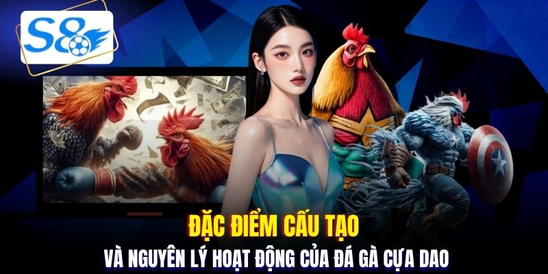Đặc điểm cấu tạo và nguyên lý hoạt động của đá gà cựa dao