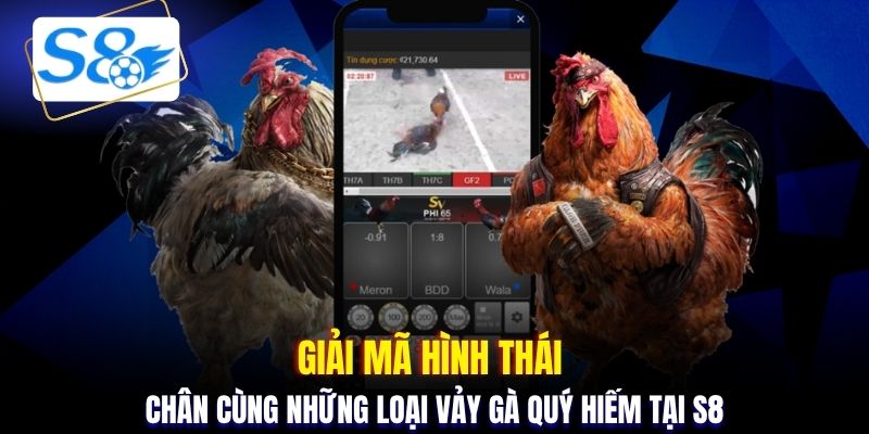 Giải mã hình thái chân cùng những loại vảy gà quý hiếm tại S8