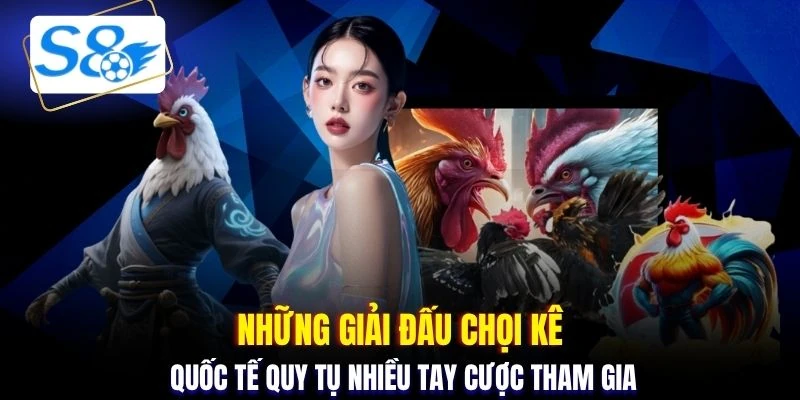 Những giải đấu chọi kê quốc tế quy tụ nhiều tay cược tham gia