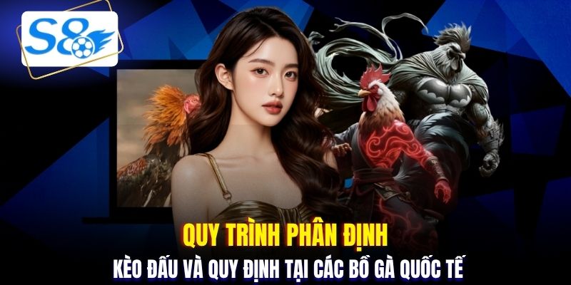 Quy trình phân định kèo đấu và quy định tại các bồ gà quốc tế