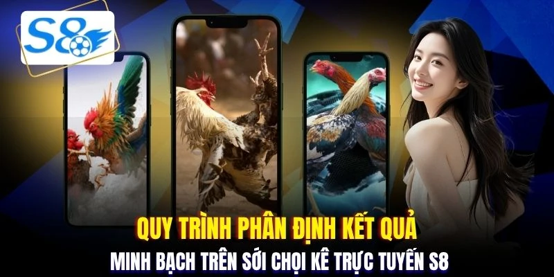 Quy trình phân định kết quả minh bạch trên sới chọi kê trực tuyến S8