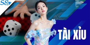 Tài Xỉu S8 - Giải Mã 3 Cửa Cược Và Bí Kíp Soi Cầu Đỉnh